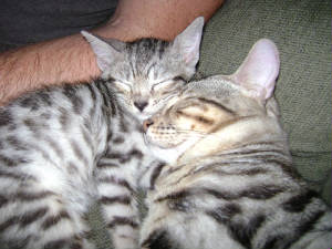 dsc01655.jpg
