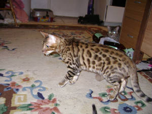 dsc01660.jpg