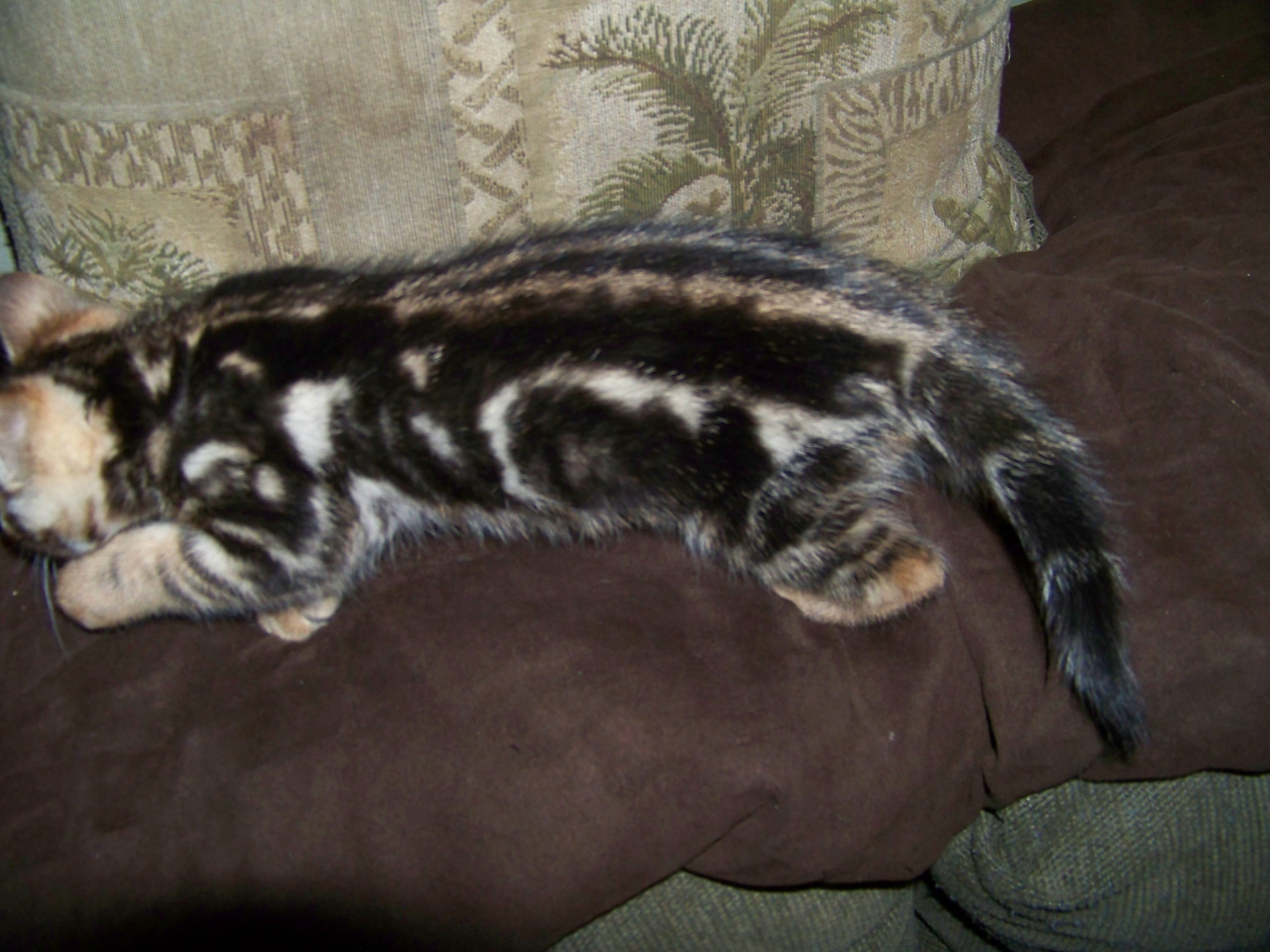 100_0721.jpg