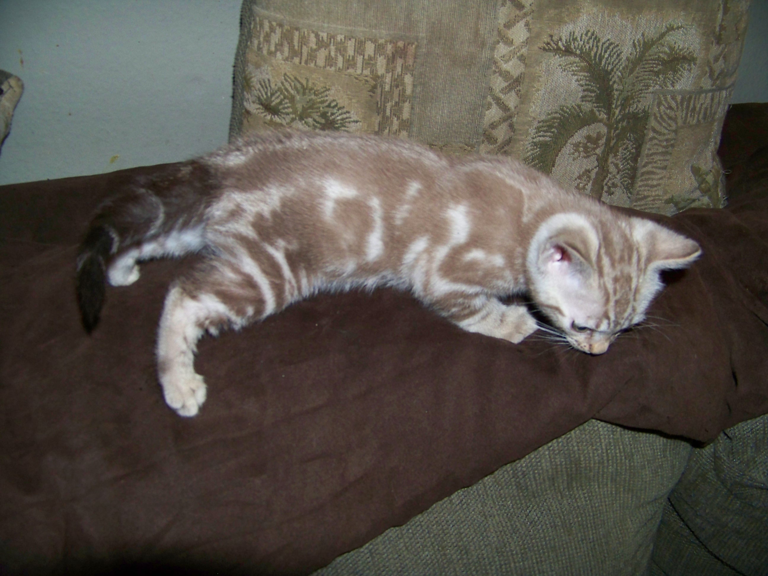 100_0728.jpg