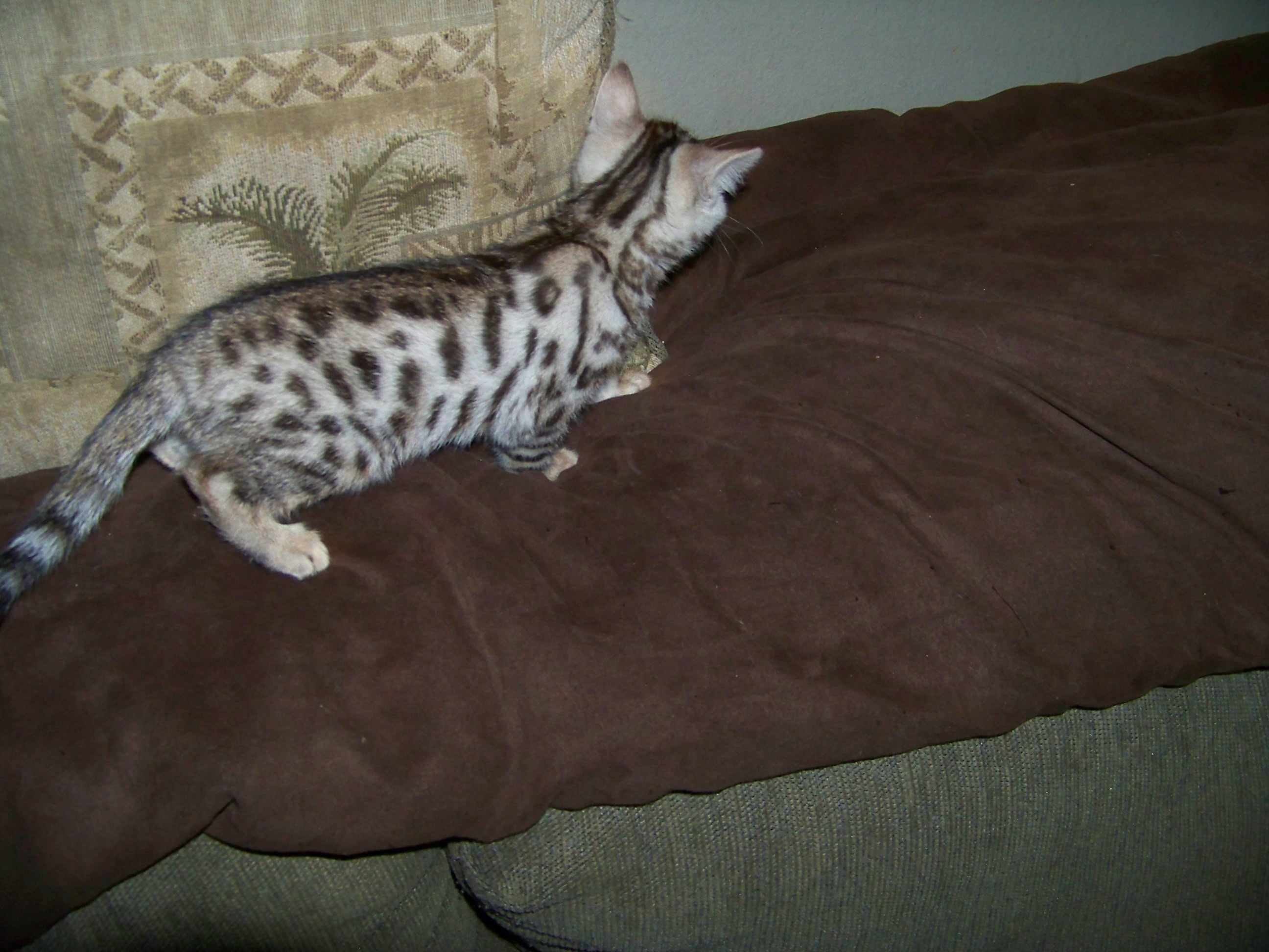 100_0733.jpg